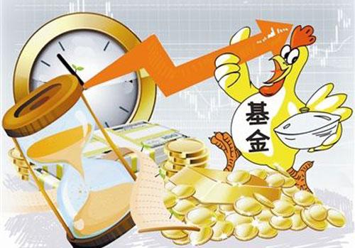 投基“管好”風險等級 “散養”基金切記七“防”