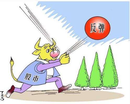 大跌后如何把握反彈？