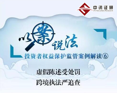 虛假陳述受處罰 跨境執法嚴追查