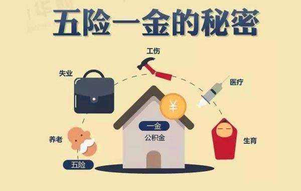 你繳的五險一金哪些能隨時繳隨時用？哪些到點才能用？