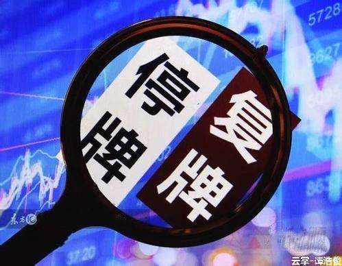 停復牌新規效果明顯 “停牌釘子戶”數量持續減少