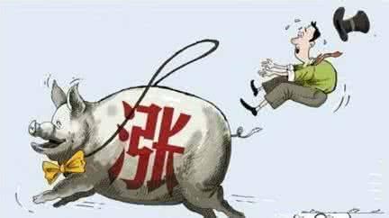 豬肉價太高？別急！為了你的吃肉自由 一大批“外援”正在趕來