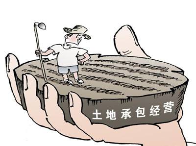 土地承包到期延長30年！中央“一號文”預期要升溫？五大板塊或再迎風口
